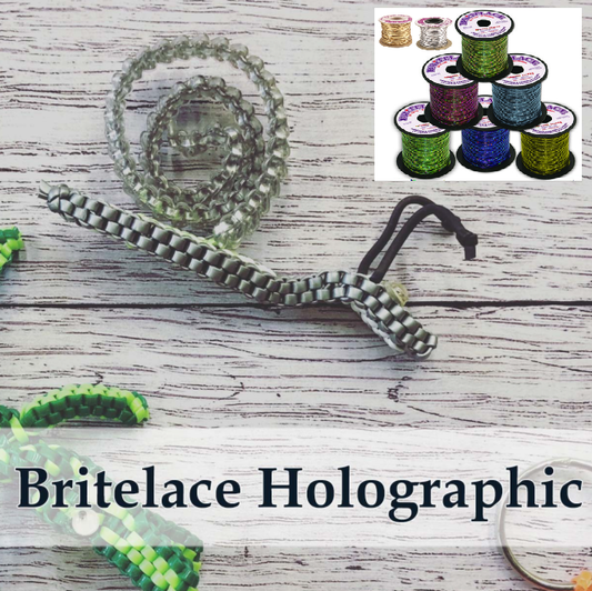 Britelace Group Picture